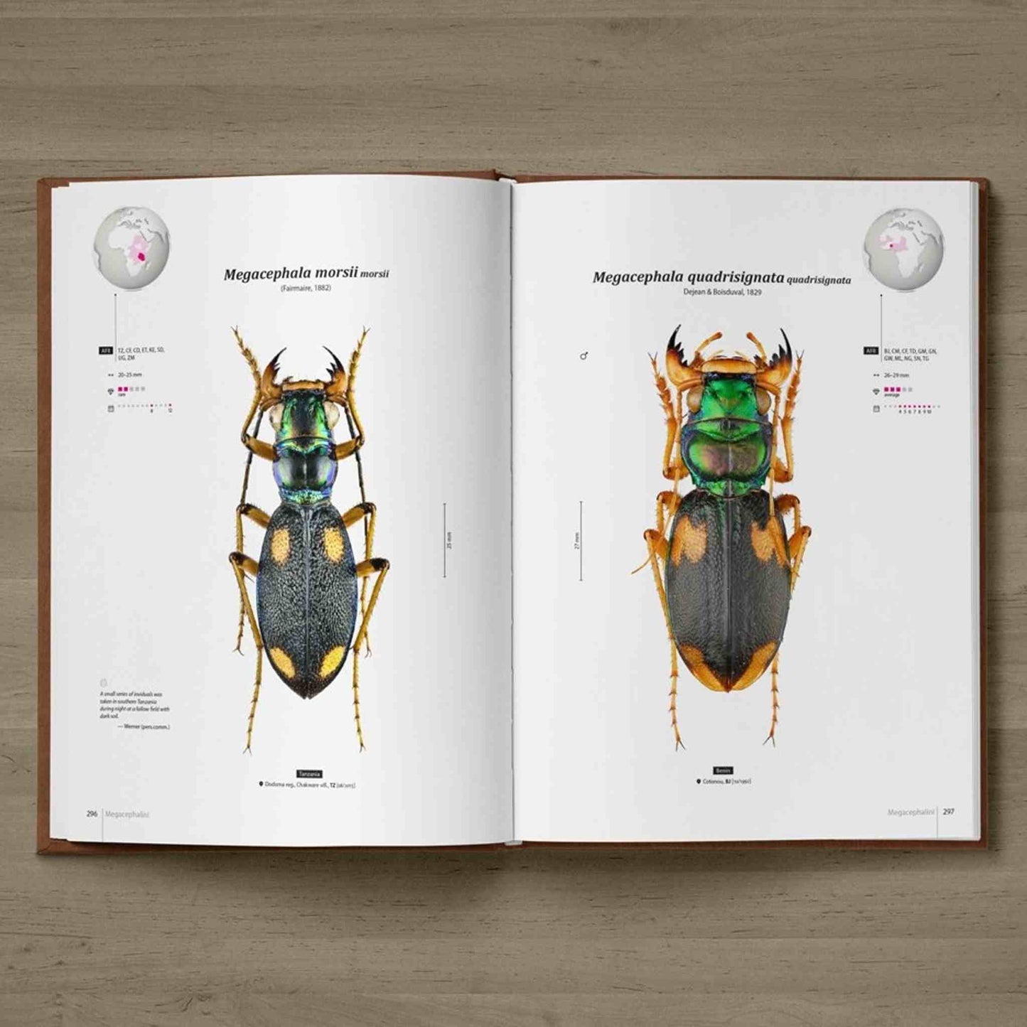 Tiger Beetles of Africa